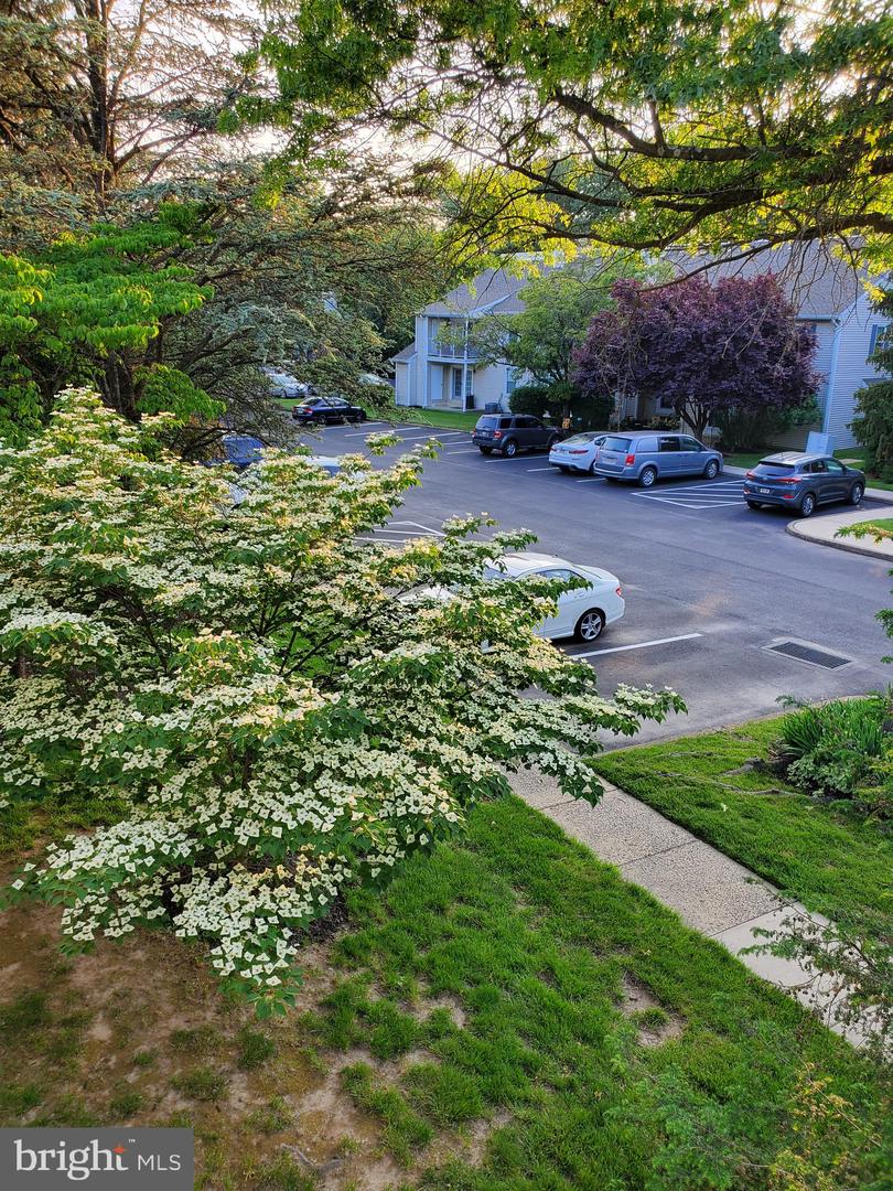 66 Belmont Station Property Photo 14