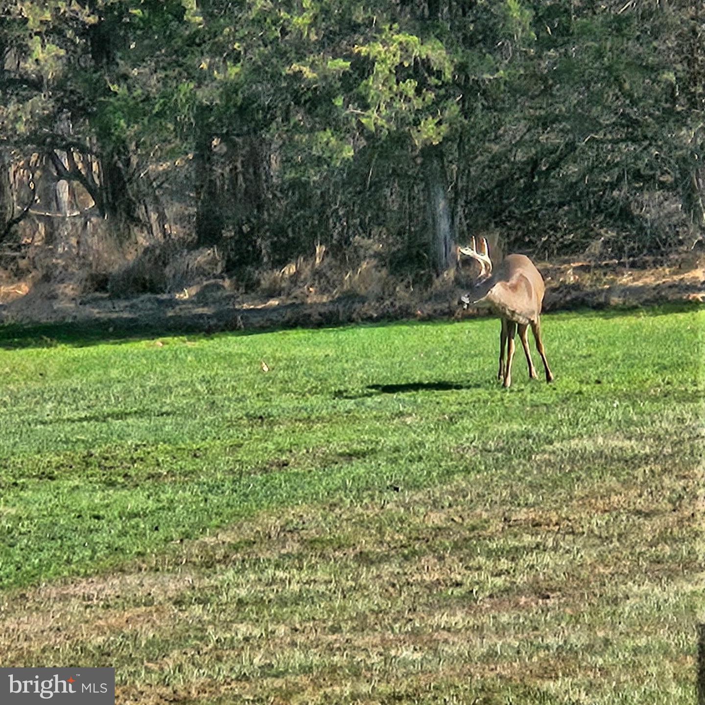 125 E Dark Hollow Road Rd Property Photo 90