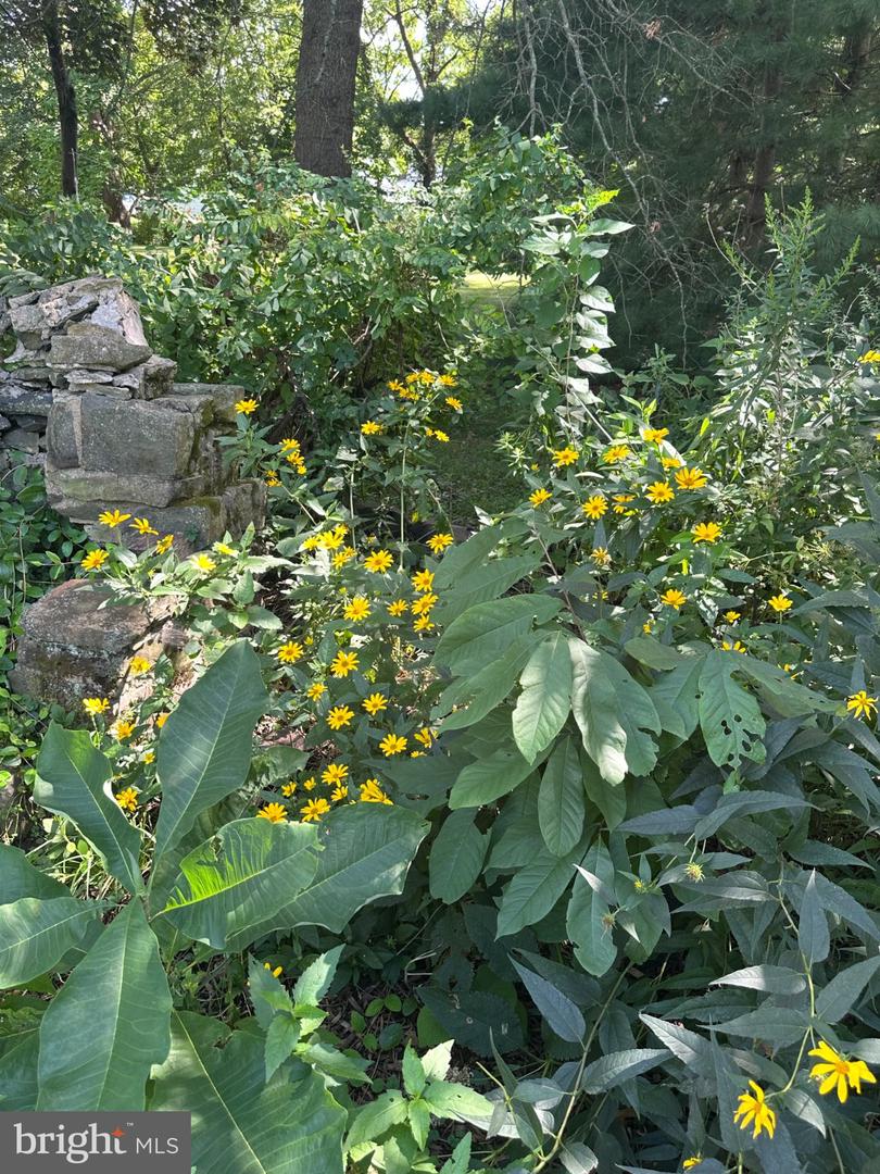 176 N Ambler St Property Photo 44