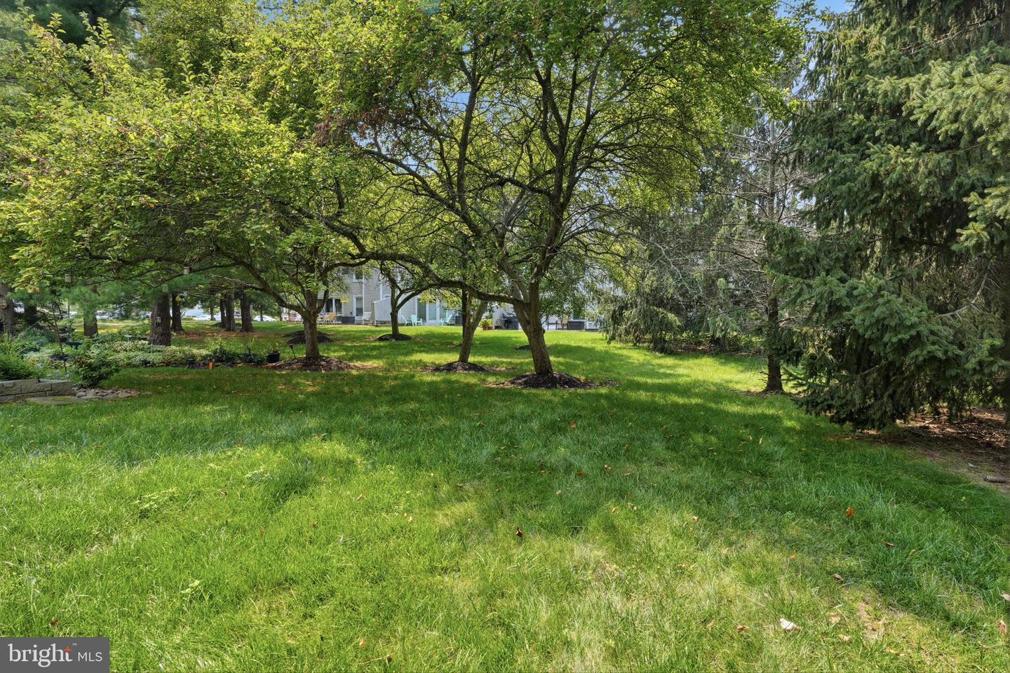 7 Walton Ct Property Photo 29