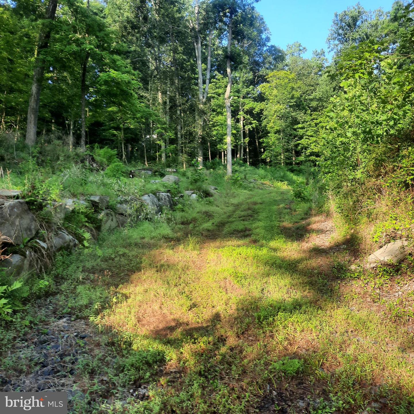 5968 State Park Rd Property Photo 1