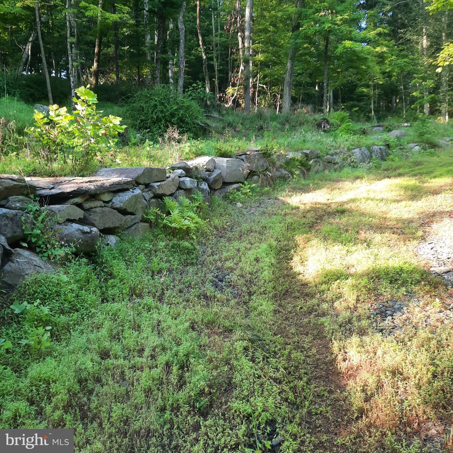 5968 State Park Rd Property Photo 2