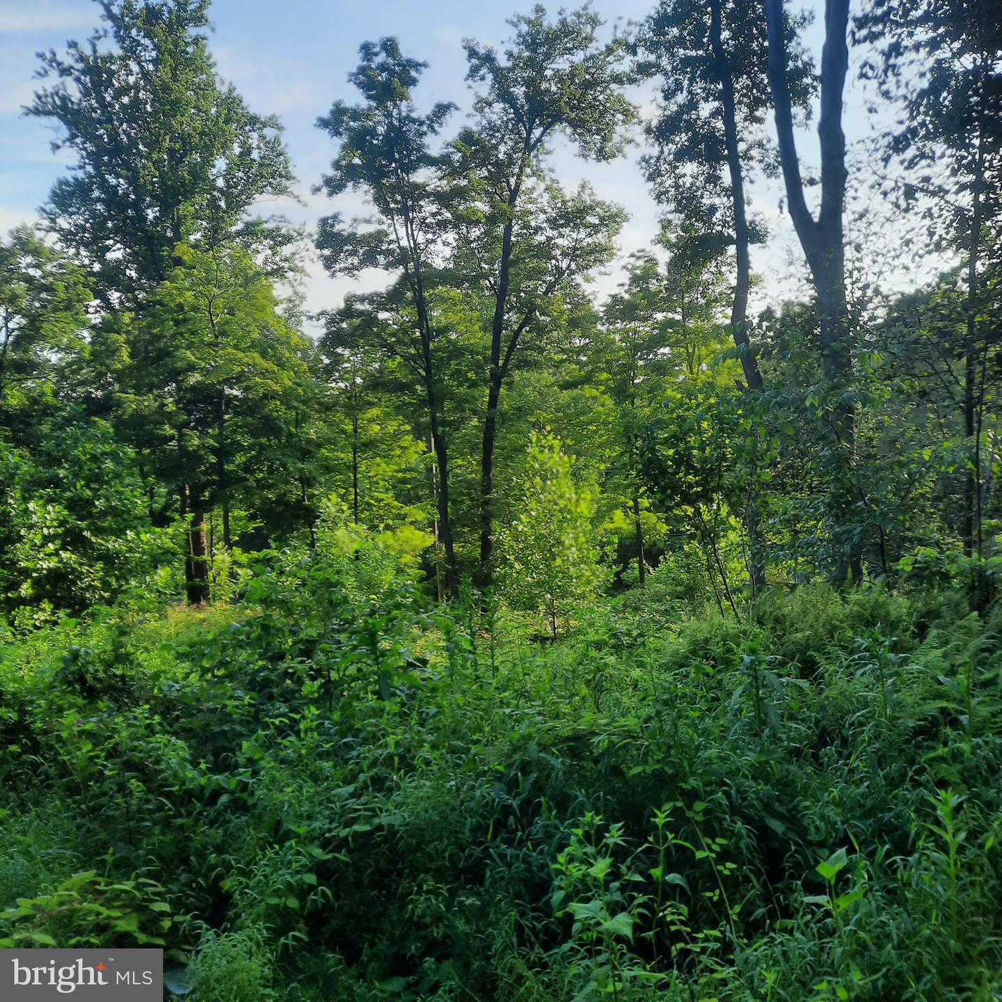 5968 State Park Rd Property Photo 3