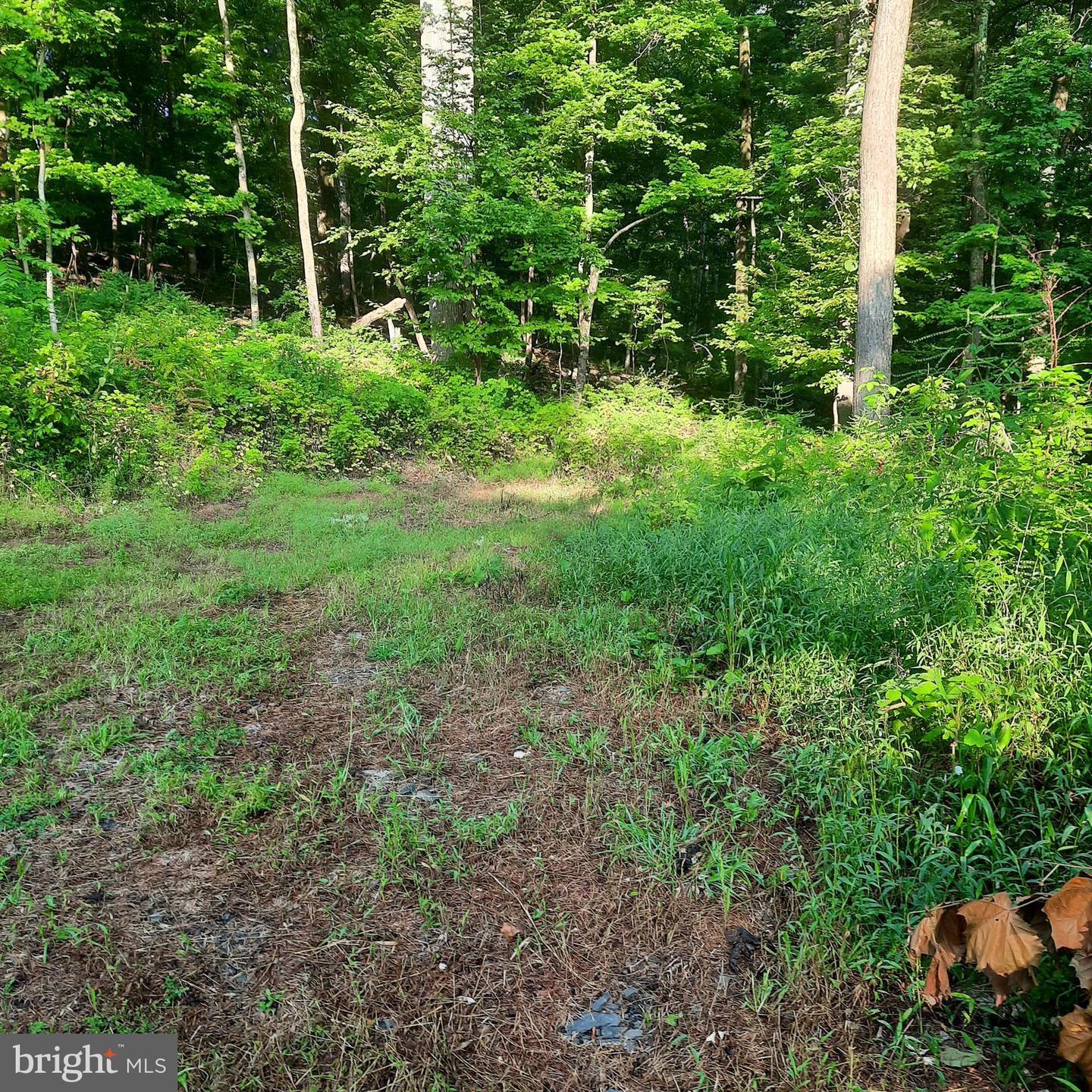 5968 State Park Rd Property Photo 4