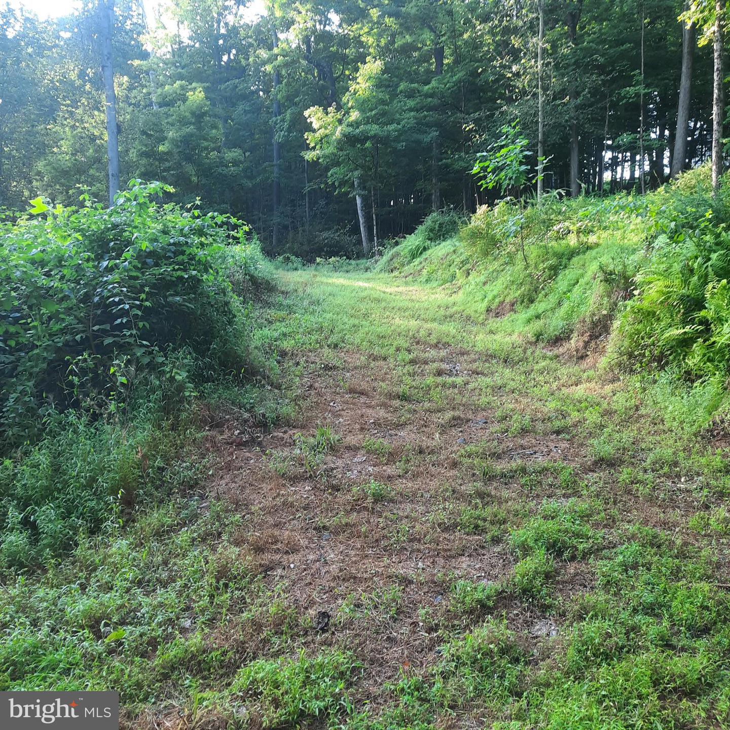 5968 State Park Rd Property Photo 5