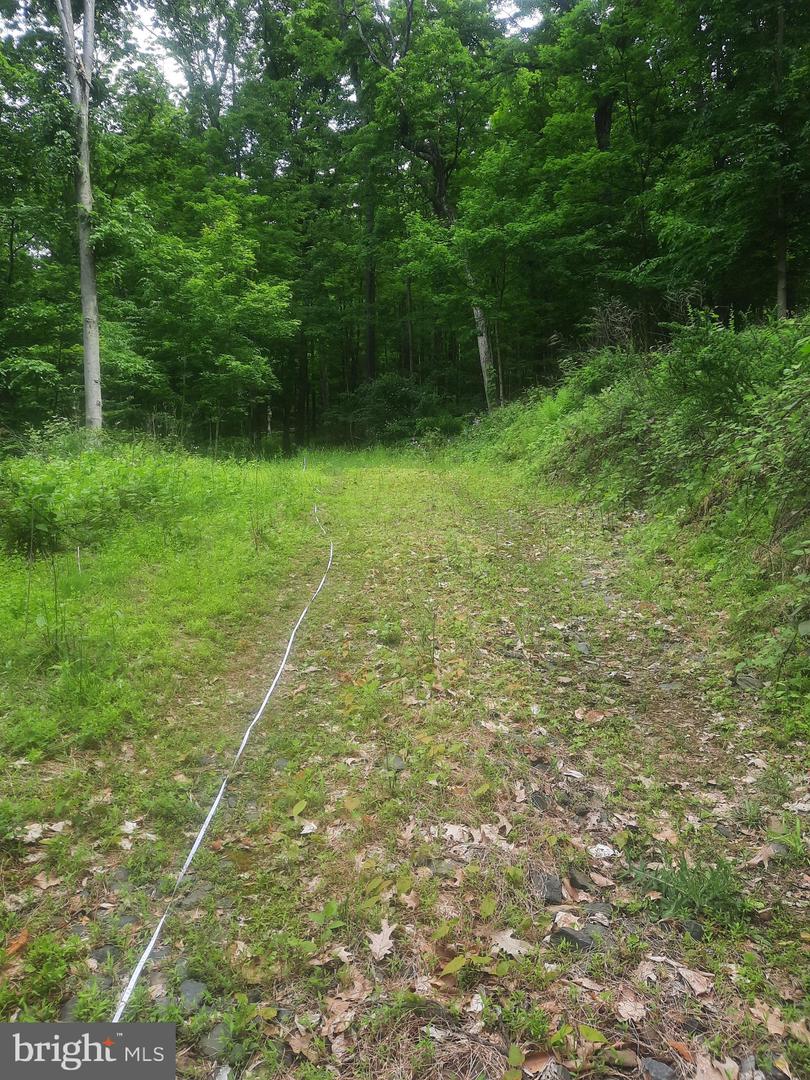 5968 State Park Rd Property Photo 6