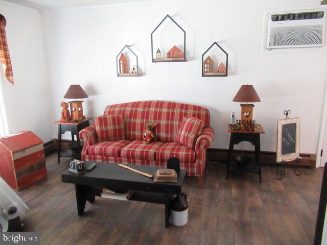 45 Queensbridge Rd Property Photo 14
