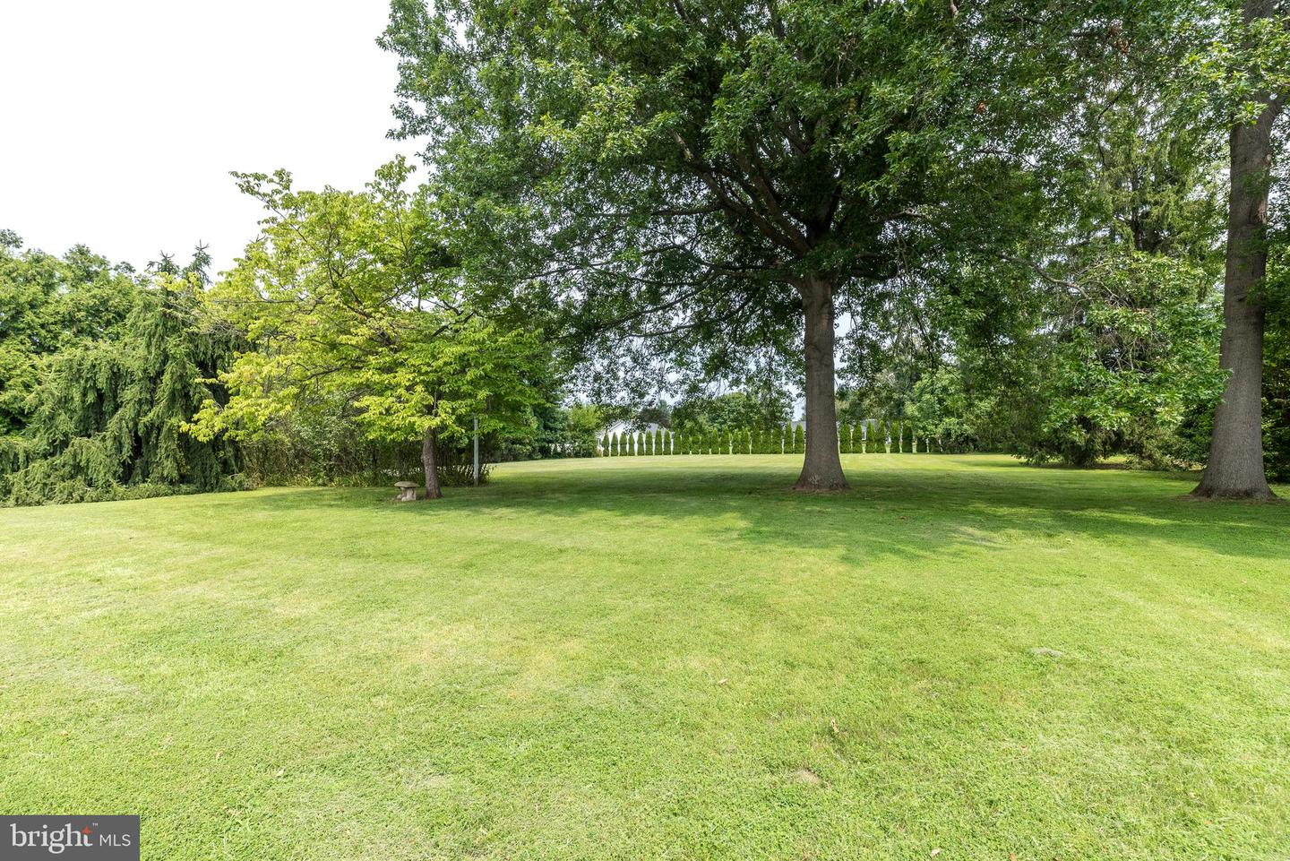 38 Chestnut Valley Dr Property Photo 43