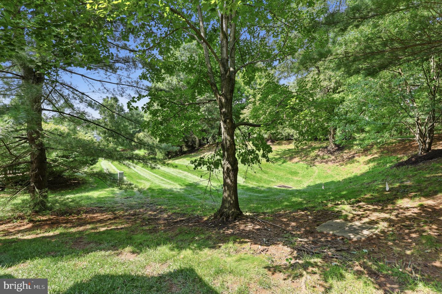 39 Charter Oak Ct Property Photo 45