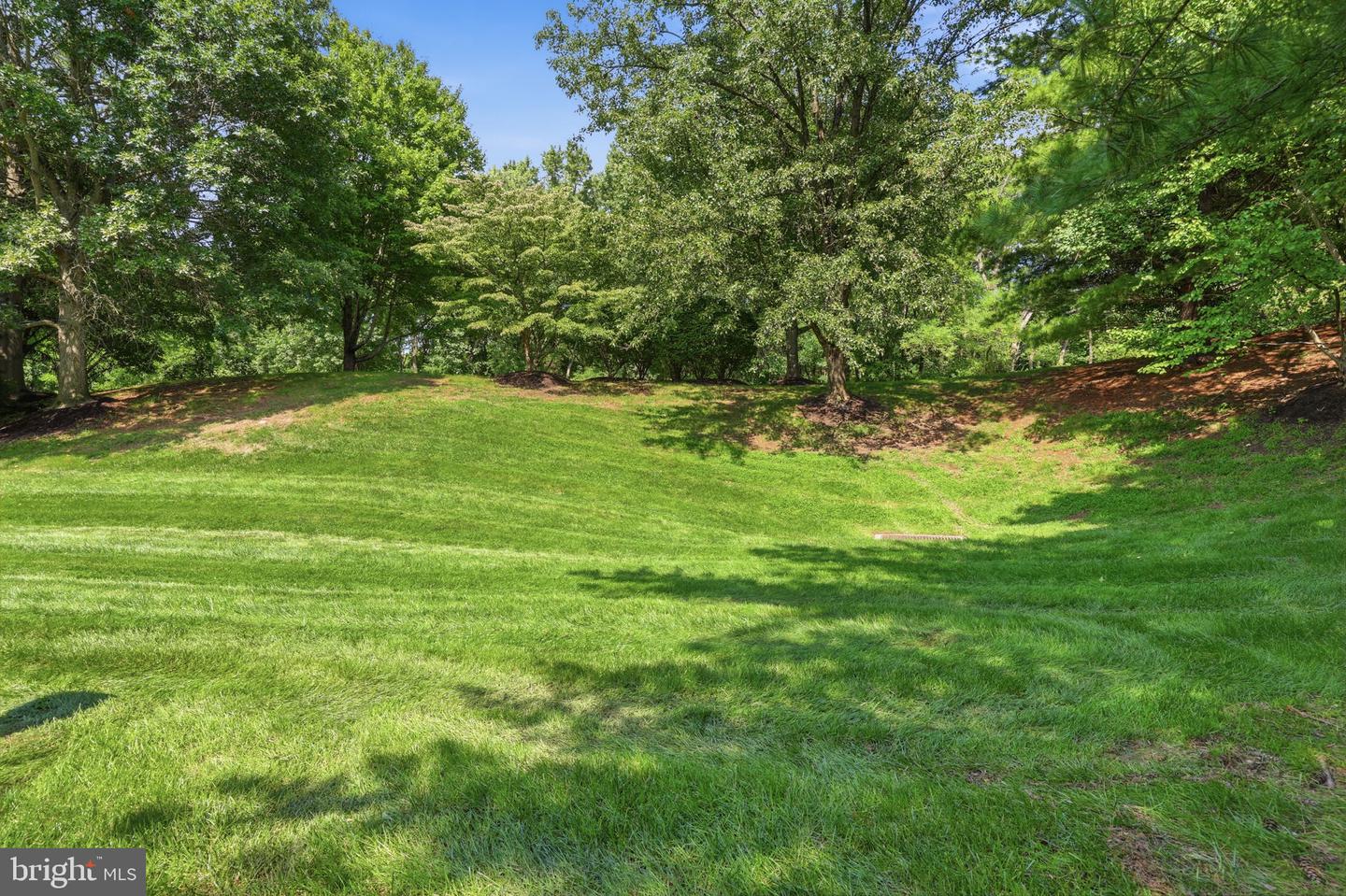 39 Charter Oak Ct Property Photo 46