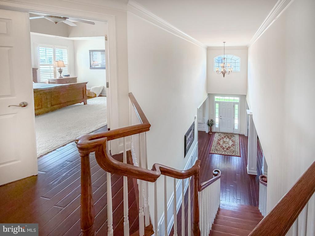 124 Thornhill Ln Property Photo 24