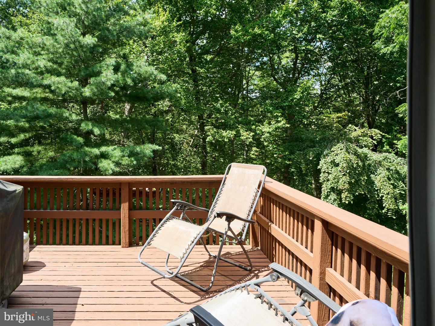 27 Sentinel Rd #139 Property Photo 14