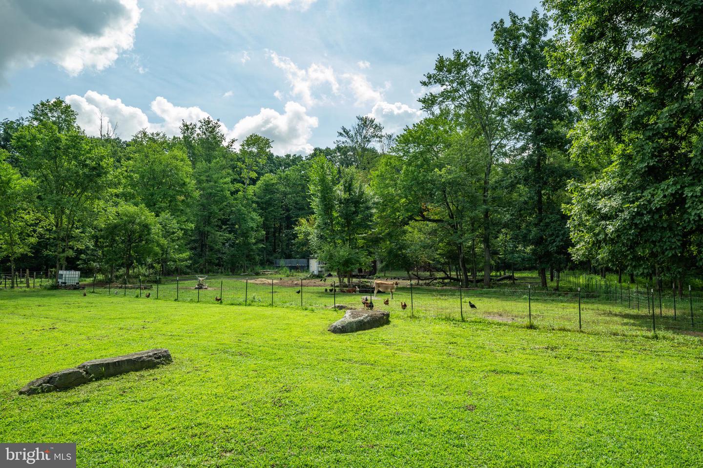 1328 Cobbler Rd Property Photo 21