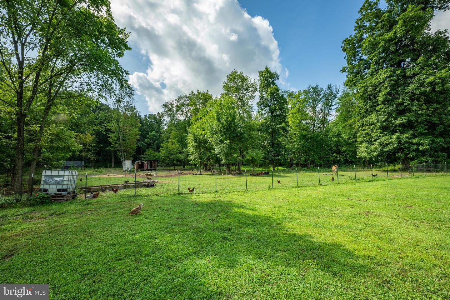 1328 Cobbler Rd Property Photo 31