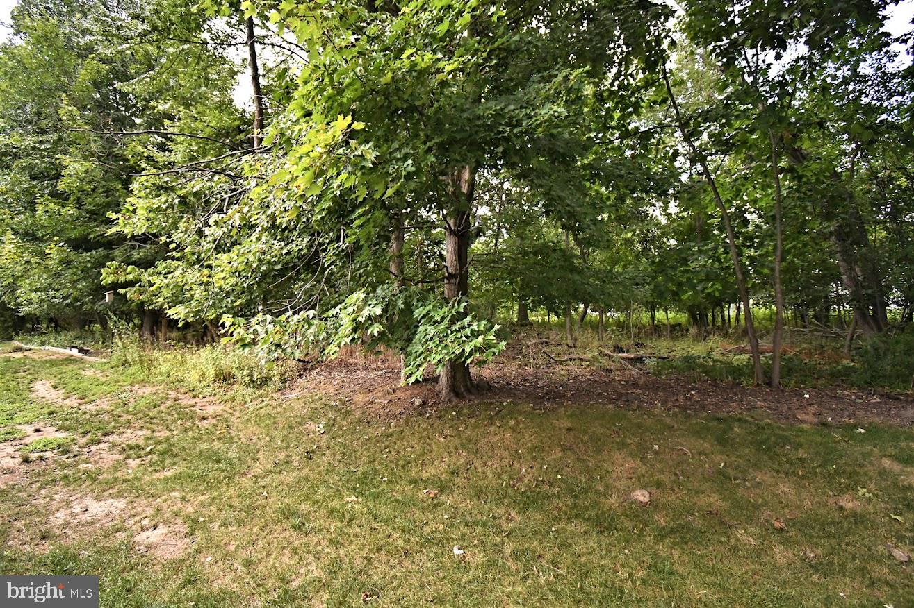 2142 Sunrise Way Property Photo 53