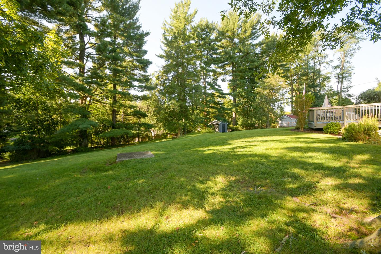 22 Elm Ter Property Photo 51