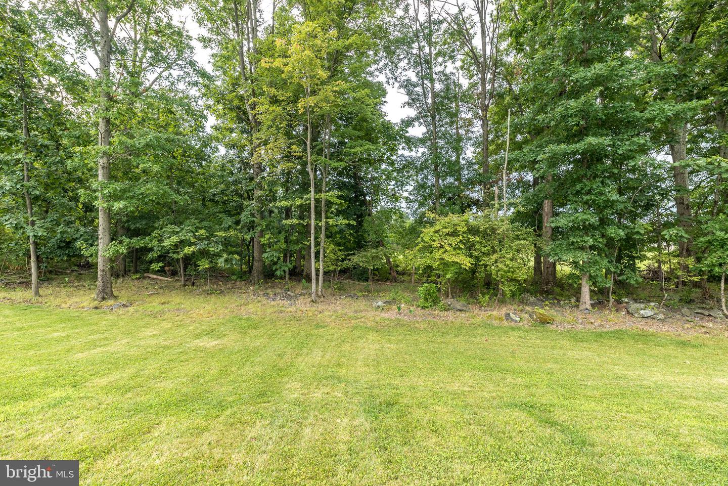 1025 Mariwill Dr Property Photo 9