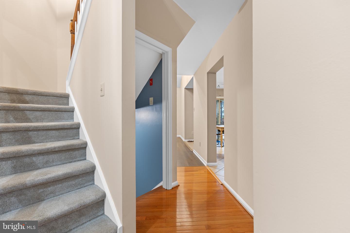 227 Forest Park Dr Property Photo 5