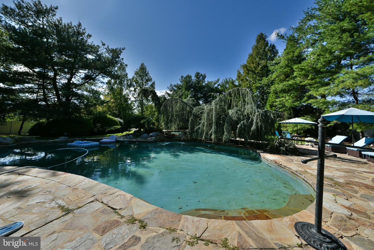 47 Loretta Cir Property Photo 21