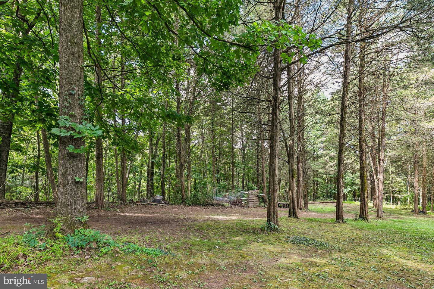 116 Ridge Valley Rd Property Photo 68