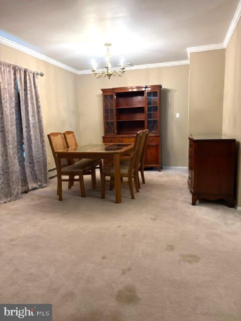 20 Schoolhouse Ln Property Photo 9