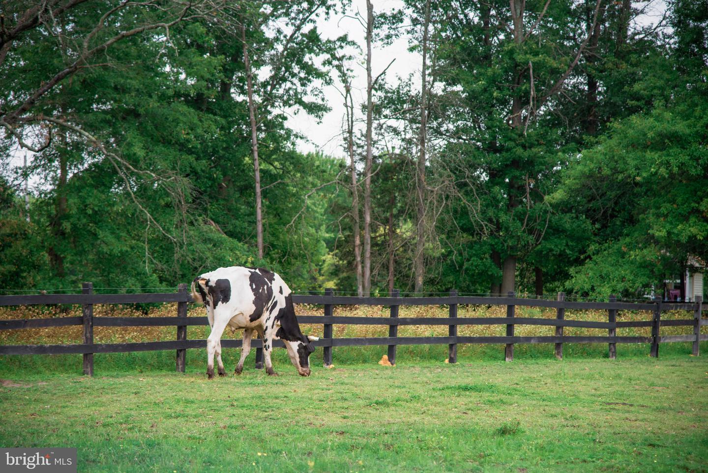 4273 Durham Rd Property Photo 4