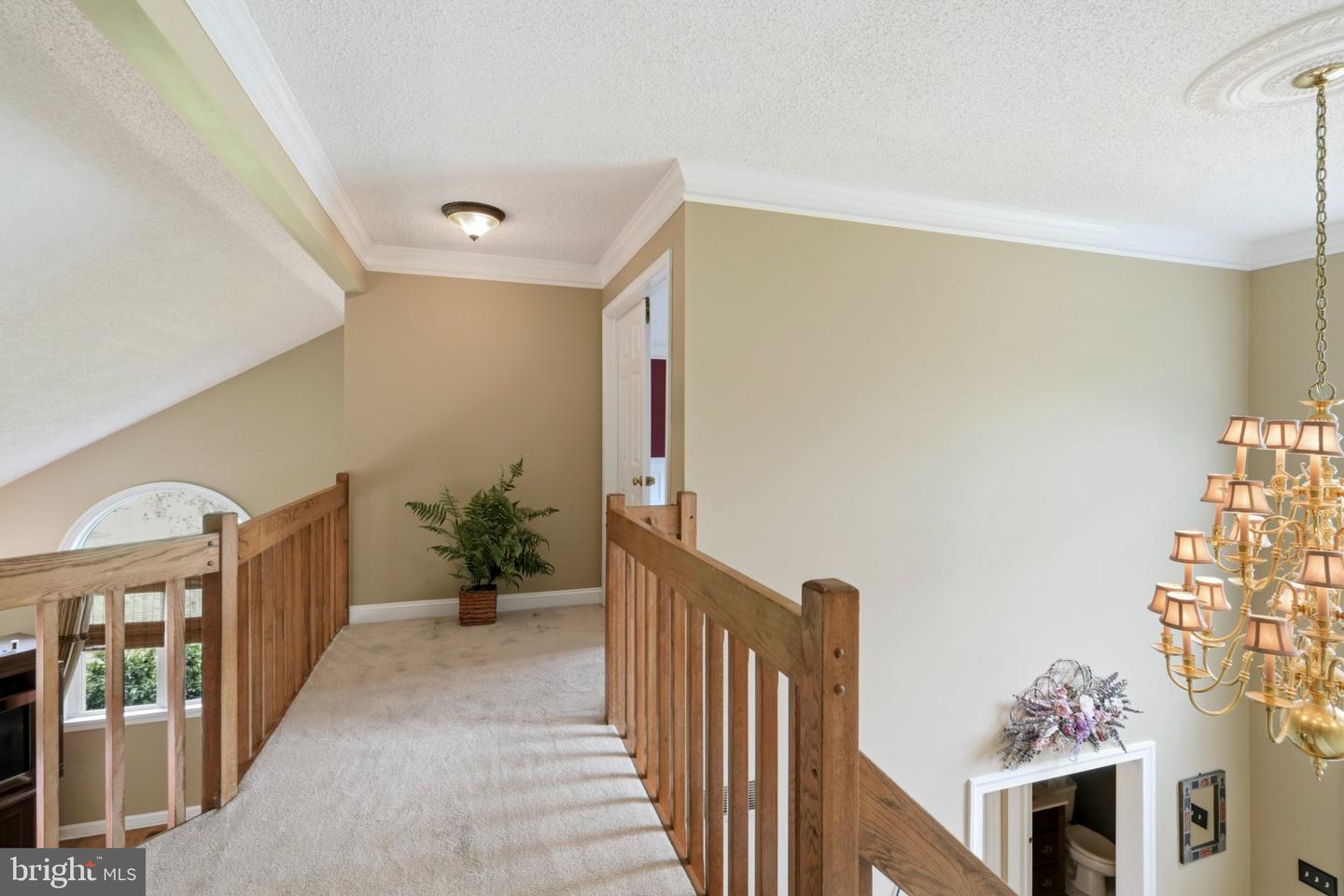 263 Pine Tree Ter Property Photo 31