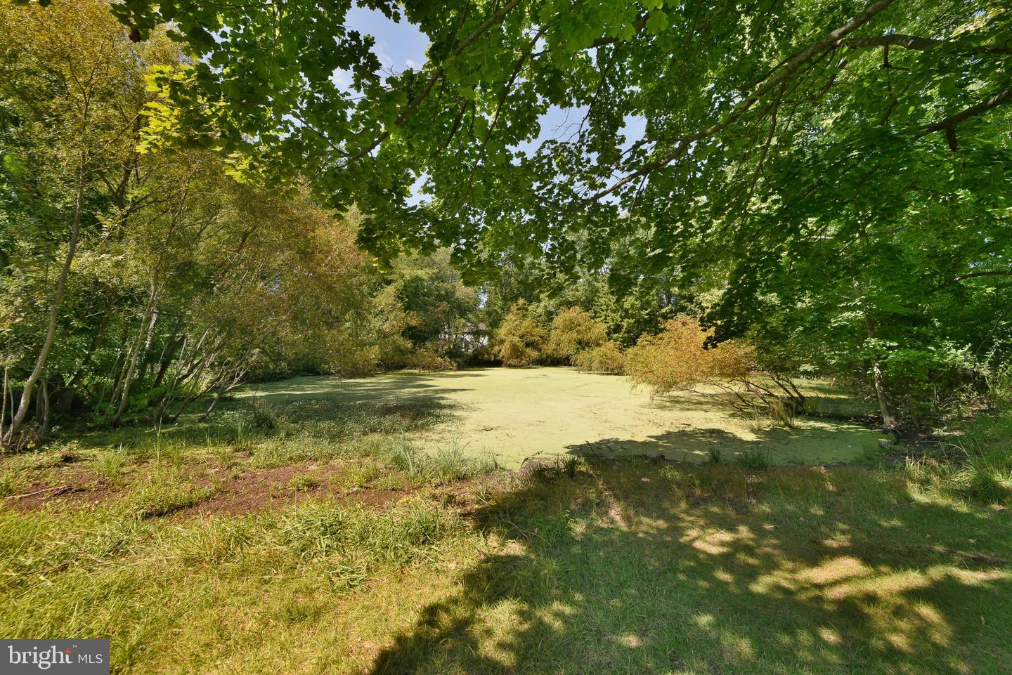 91 Forrest Dr Property Photo 51