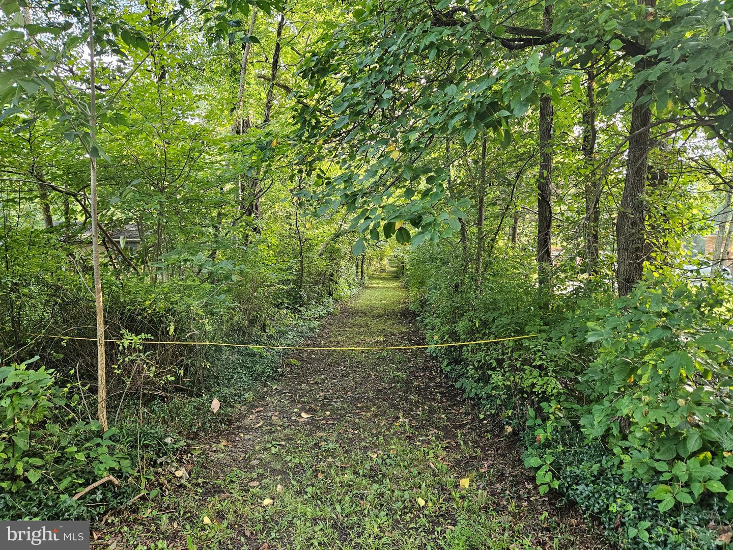 916 THOUSAND ACRE RD