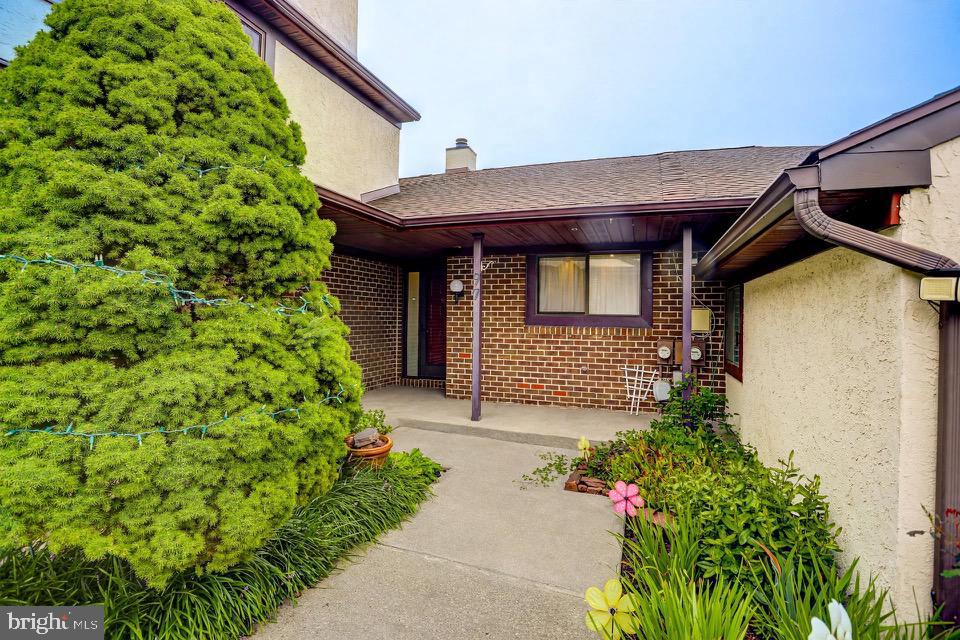97 PALACE CT