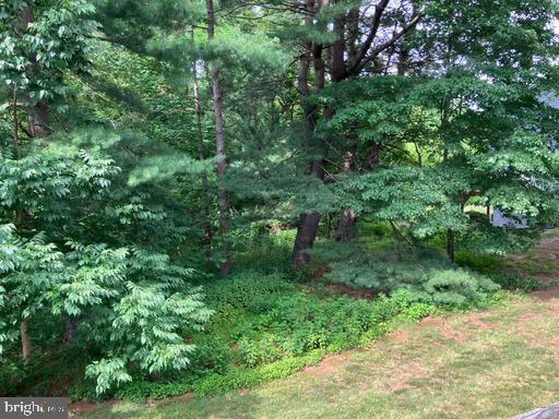 7 Parkview Property Photo 22