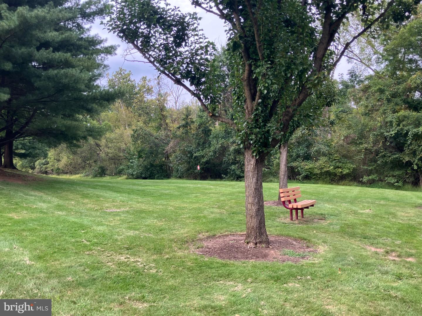7 Parkview Property Photo 28