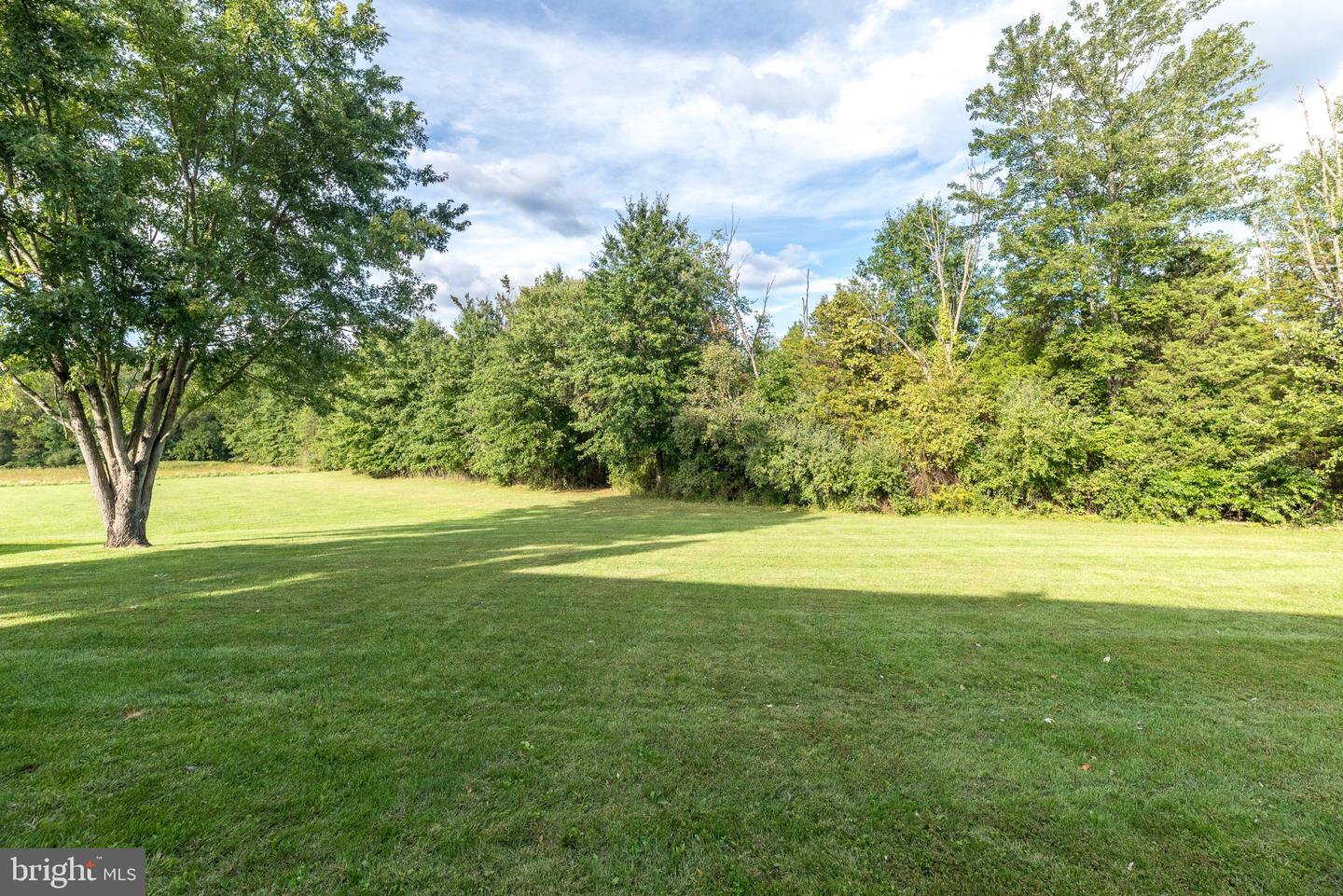 347 Beechwood Dr Property Photo 5