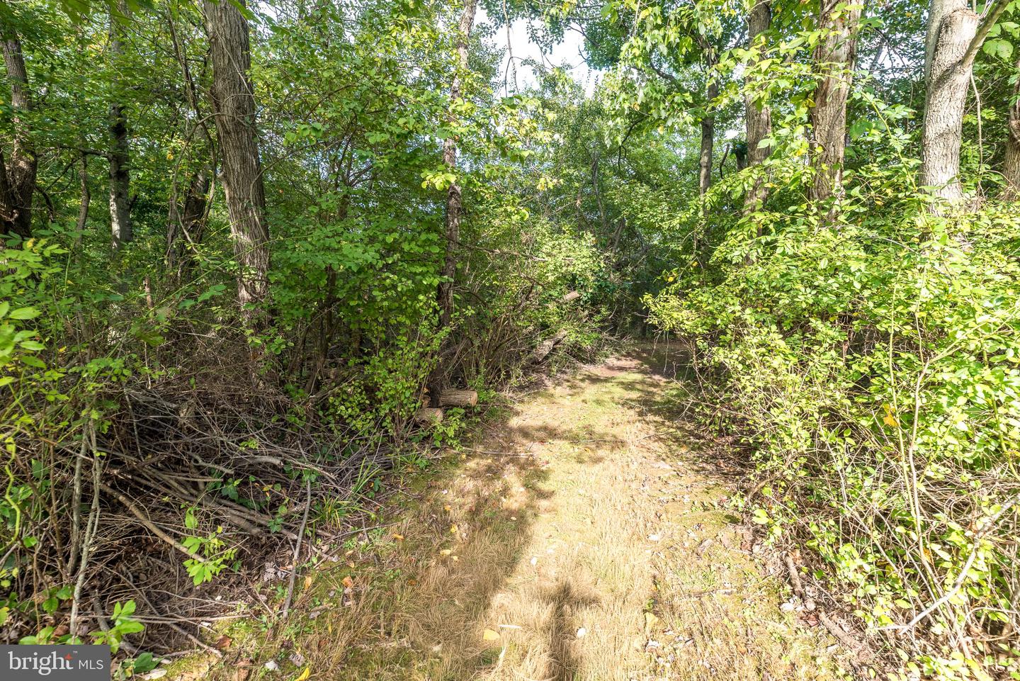 347 Beechwood Dr Property Photo 7