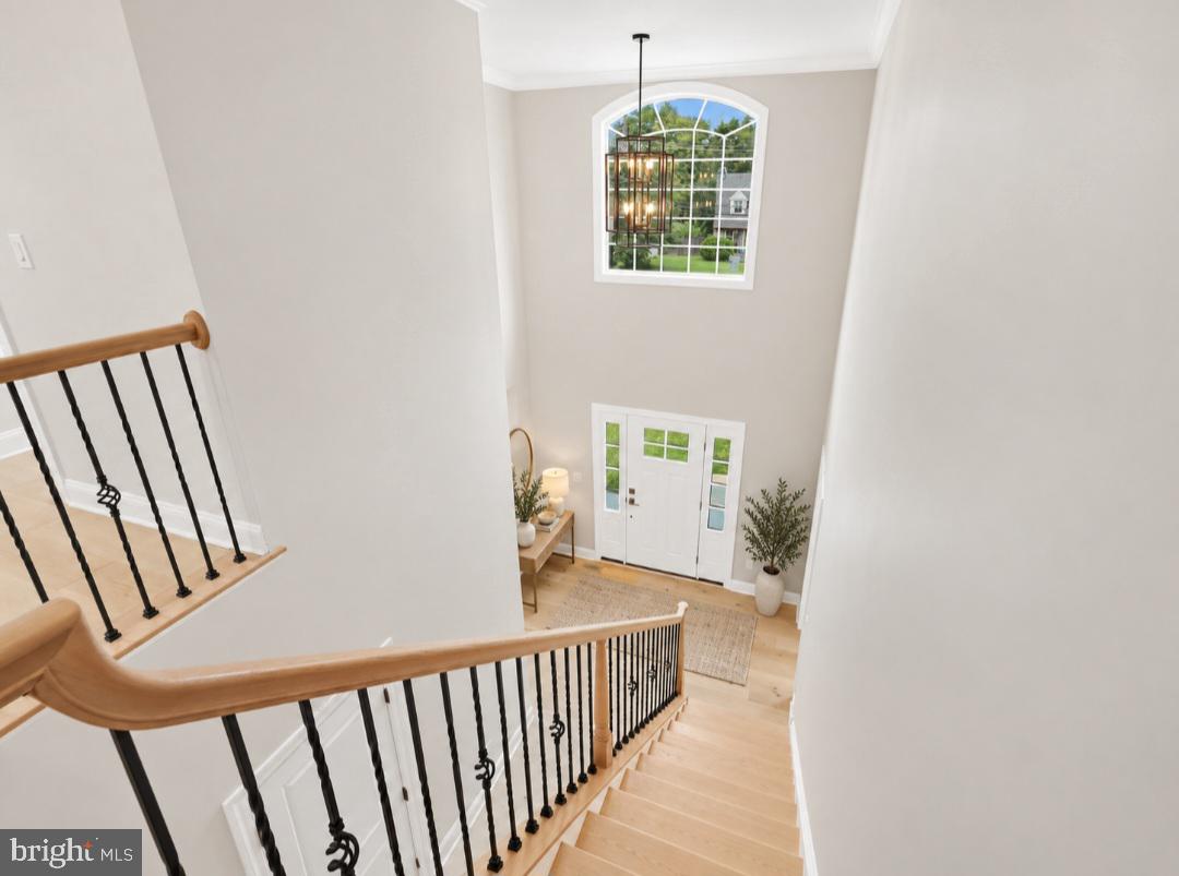 43 Davisville Rd Property Photo 11