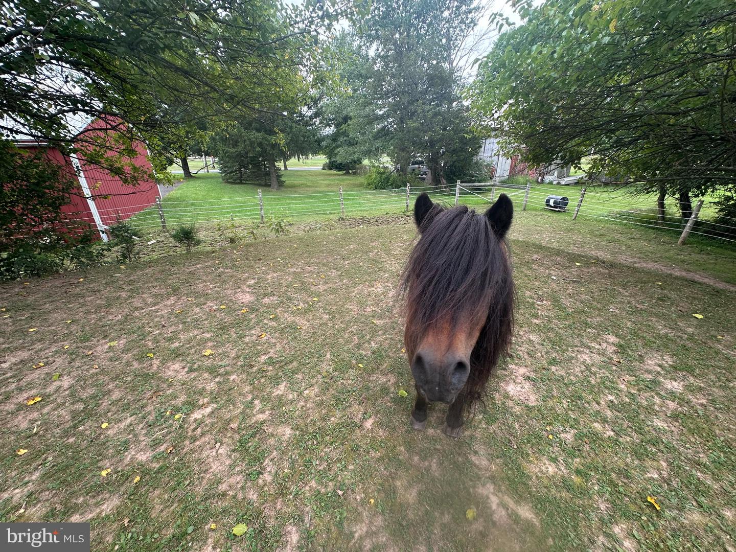 PABU2131516 Property Photo 8