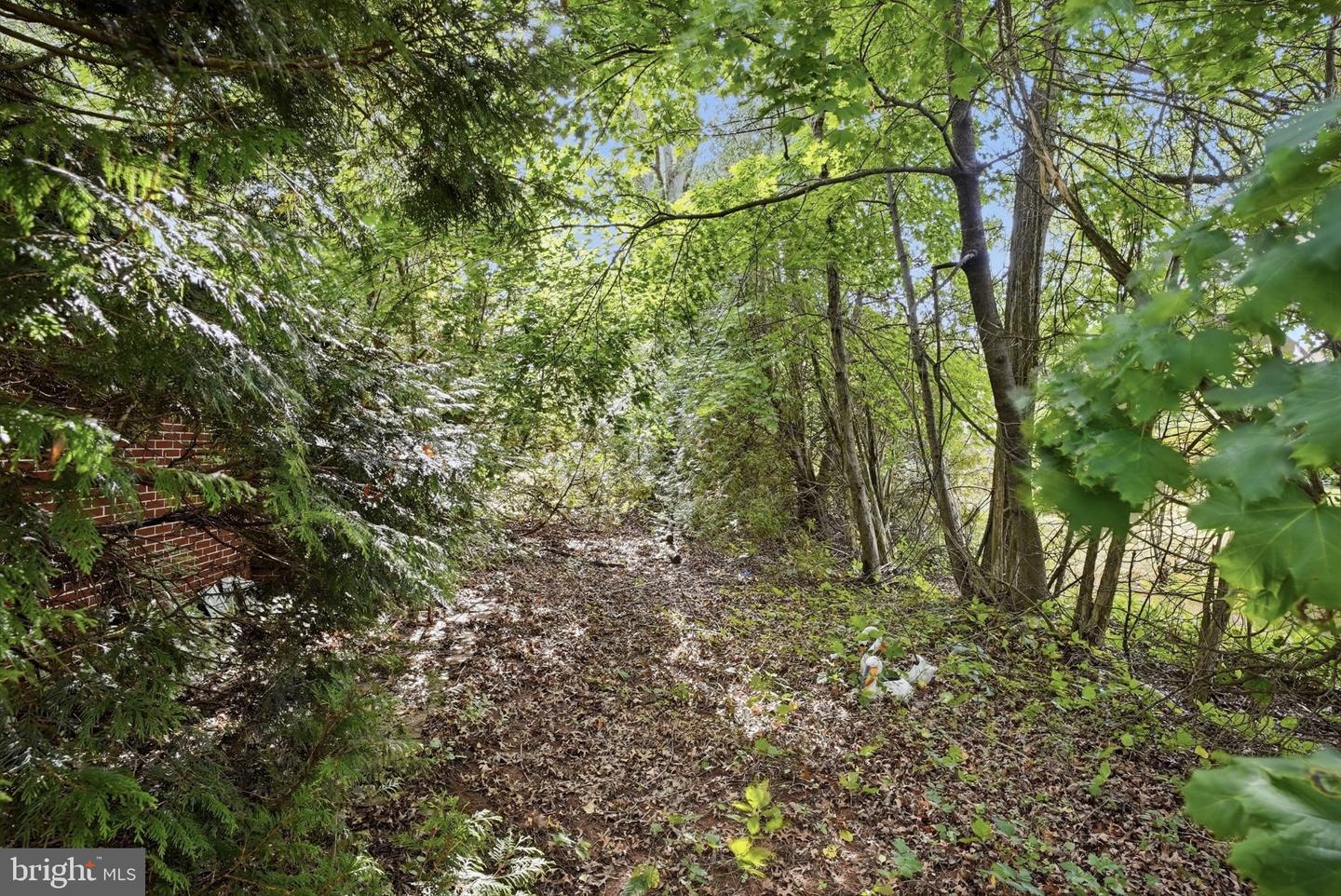 965 Route 113 Property Photo 9