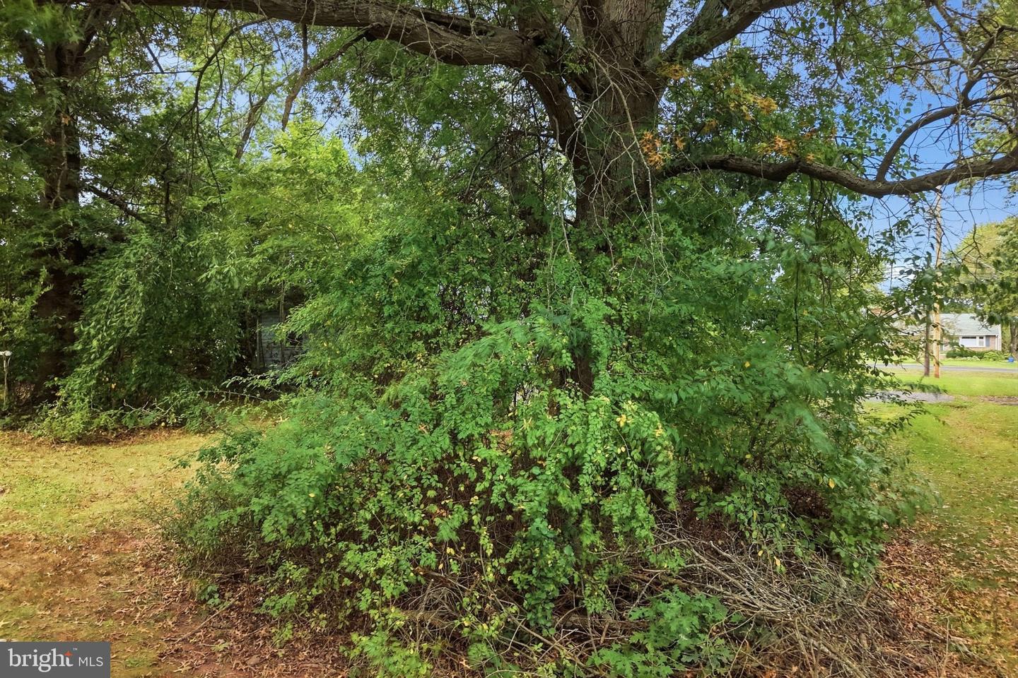 965 Route 113 Property Photo 11
