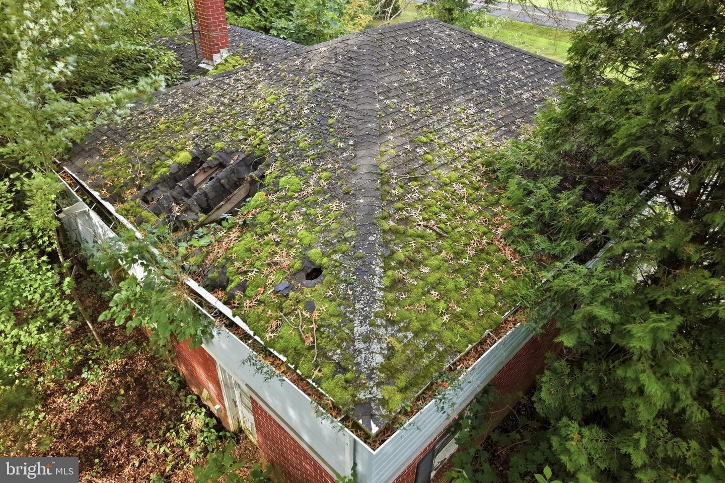 965 Route 113 Property Photo 19