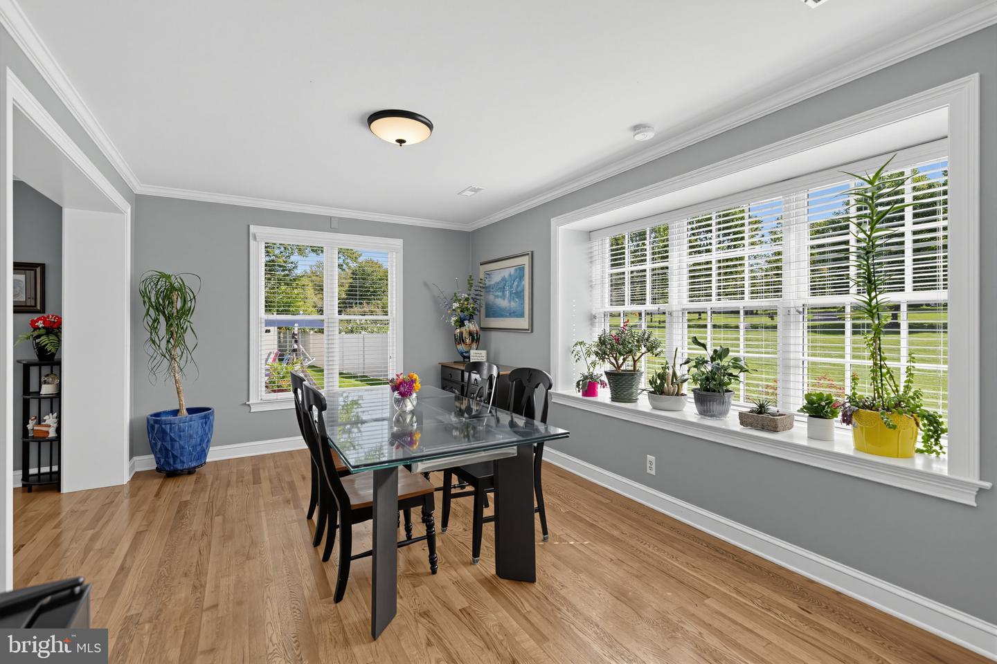 2 Cavallo Way Property Photo 17