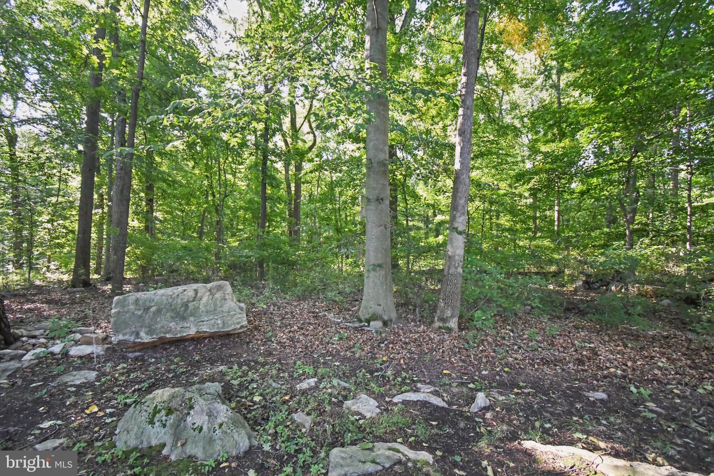 153 Mountain Oaks Rd Property Photo 49