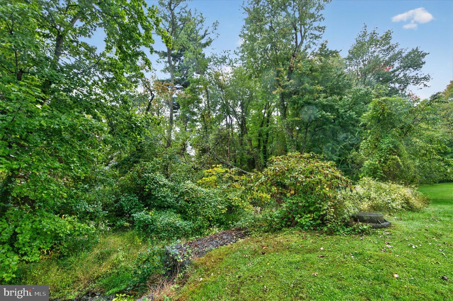 6231 Washington Ln Property Photo 14