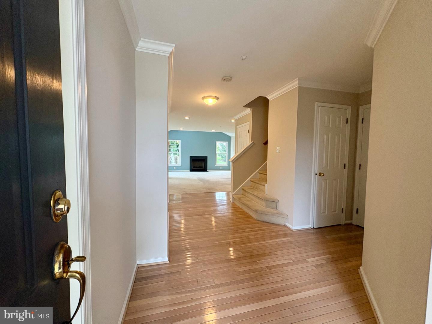 186 Stetson Dr Property Photo 3
