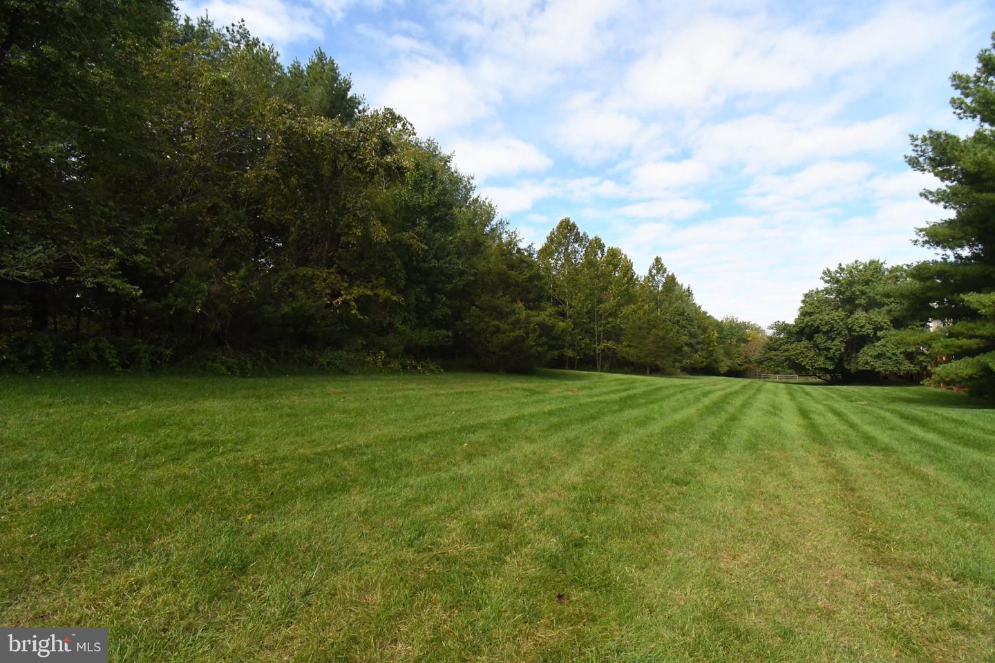 84 Dispatch Property Photo 52
