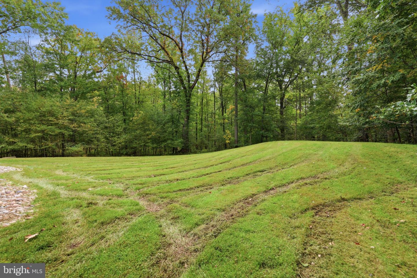 1669 Fennel Rd Property Photo 48