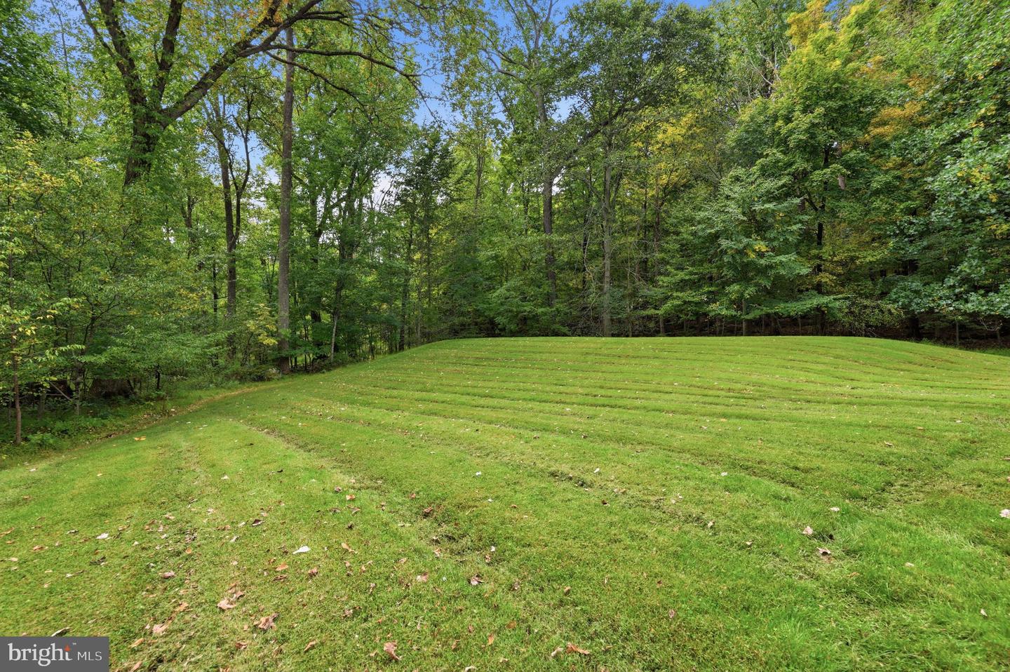 1669 Fennel Rd Property Photo 49