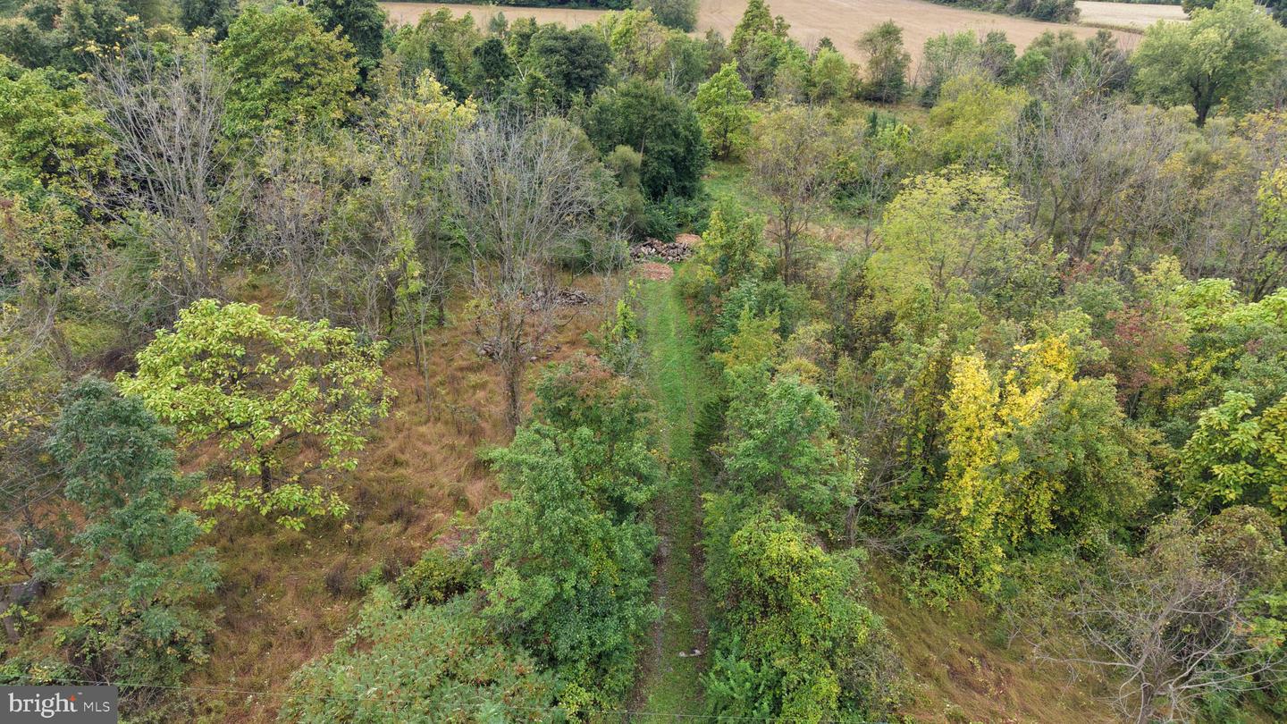 5052 Silo Hill Rd Property Photo 7