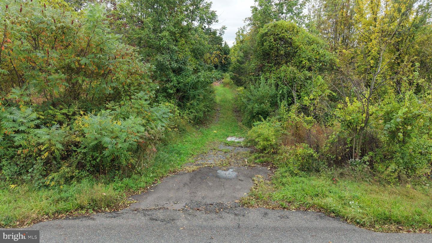 5052 Silo Hill Rd Property Photo 8