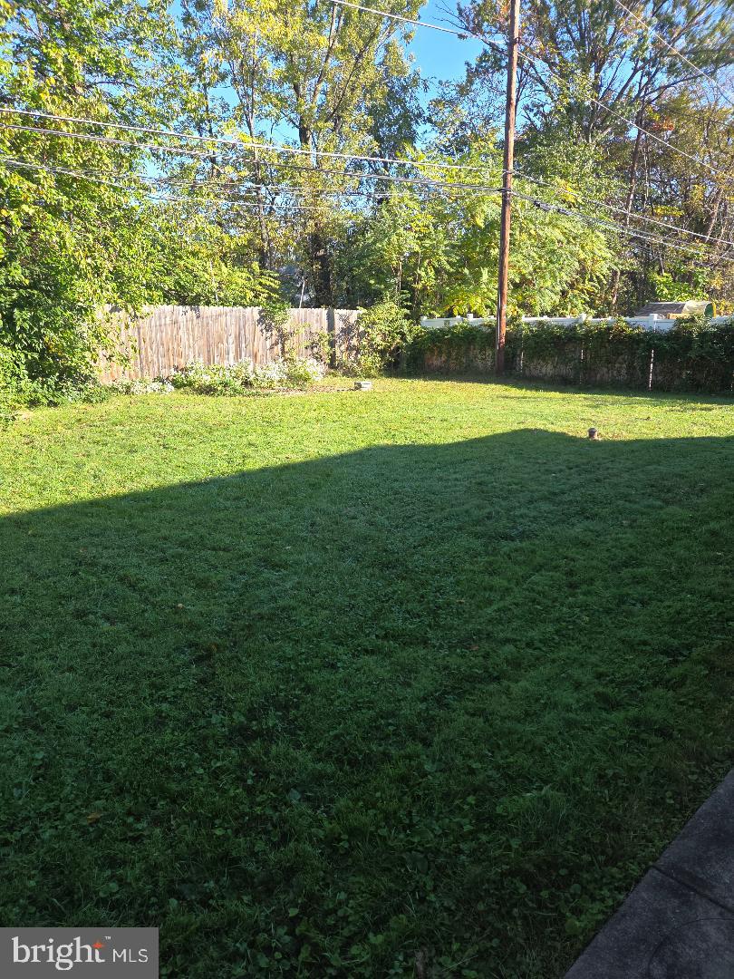 41 Whitewood Dr Property Photo 3