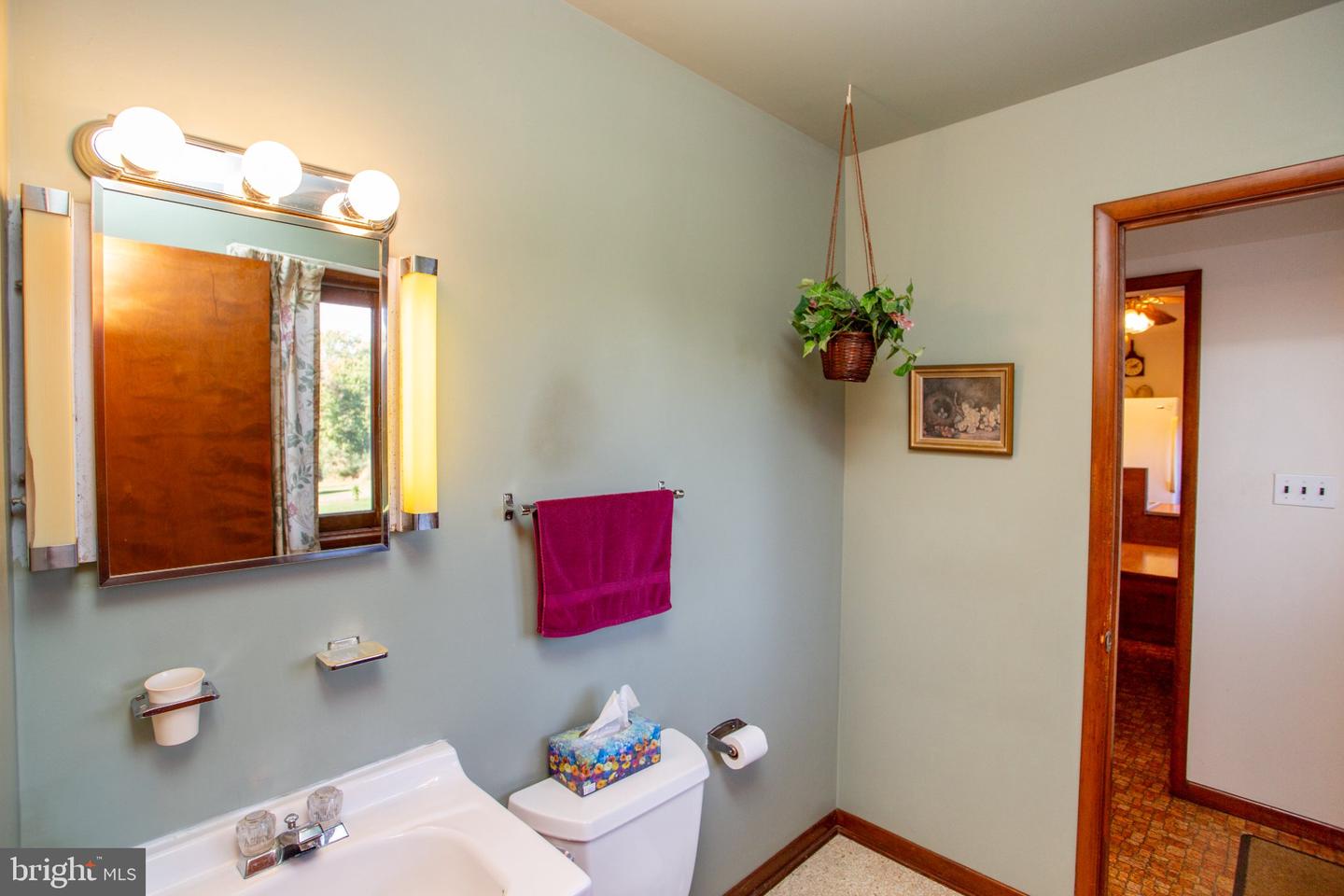 4727 Lower Mountain Rd Property Photo 23